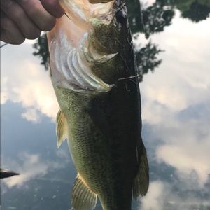 Meet your Posher, Jeff